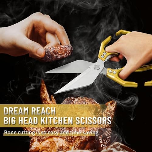 Dream Reach Heavy Duty Poultry Shears for Food with Golden Ergonomic Handle