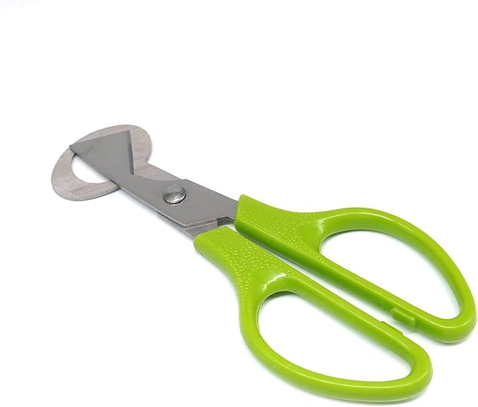 10 Pieces Stainless Steel Quail Egg Cutter Pigeon Quail Egg Shell Cutter Scissors Cracker Opener Clipper Kitchen Tools, Green