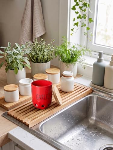 Ceramic Garlic Saver Container with Wood Lid (Red)