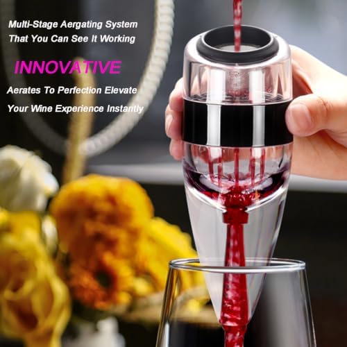 Wine Aerator Pourer with Sediment Filter and Stand
