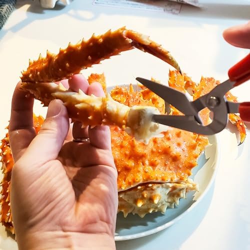 CANARY Crab Scissors Heavy Duty 6.7", Made in JAPAN, Seafood Scissors for Cutting Crab Legs, Lobster, Shell, Sharp Serrated Japanese Stainless Steel Blade, Red