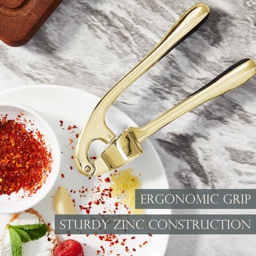 Kitessensu High Effective Garlic Press With Studs, Heavy Duty Garlic Mincer, Easy to Squeeze and Clean, Rust Proof, Ginger Crusher - Golden