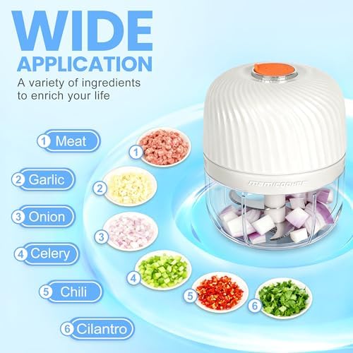 Electric Garlic Chopper 250ML, Mini USB Rechargeable Veggie Chopper, Cordless Garlic Mincer Onion Chopper Food Chopper for Ginger Chili Meat Sauce, Wireless Food Processor, White