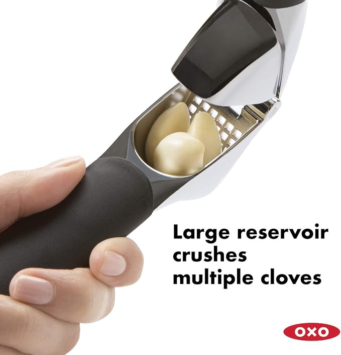 OXO Good Grips Soft-Handled Garlic Press,Black,One Size & Good Grips Etched Zester and Grater,Green,One Size
