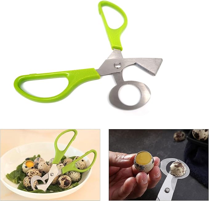 10 Pieces Stainless Steel Quail Egg Cutter Pigeon Quail Egg Shell Cutter Scissors Cracker Opener Clipper Kitchen Tools, Green