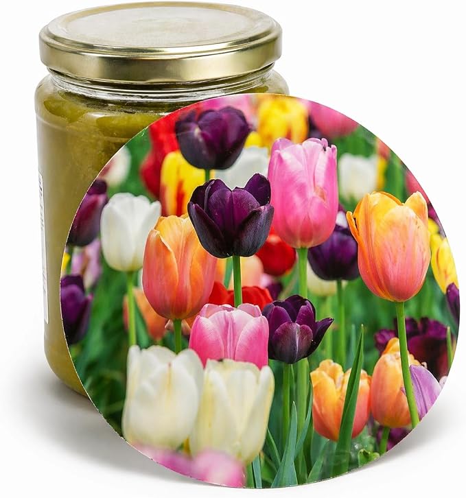 Andreas Silicone Jar Opener, Multi Tulip – 6.25" Non-Slip Lid Gripper & Garlic Peeler, Food and Dishwasher Safe, Multi-Use, Durable Silicone & Fabric, Made in the USA, JO-MT