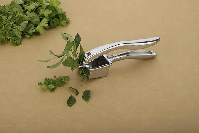 Garlic Press Set, Stainless Steel Garlic Crusher & Mincer Tool with Ergonomic Soft Handle, Easy-Squeeze Design, Includes Silicone Garlic Peeler Tube & Cleaning Brush, Silver