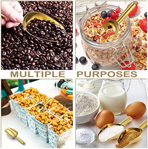 P&P CHEF 3 Ounce Mini Canister Scoop Stainless Steel Set of 4, Gold
