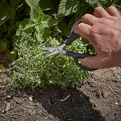 Mercer Culinary Herb Snips, 6 1/2-Inch