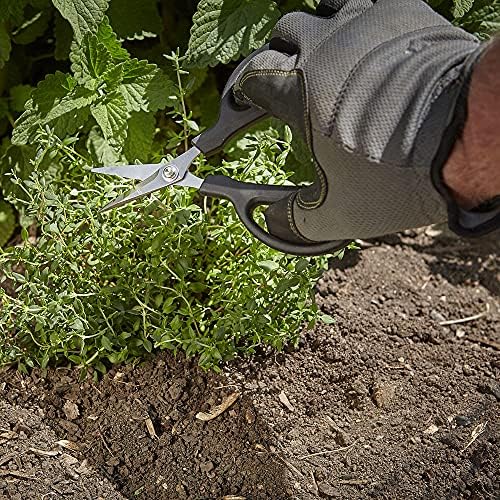 Mercer Culinary Herb Snips, 6 1/2-Inch