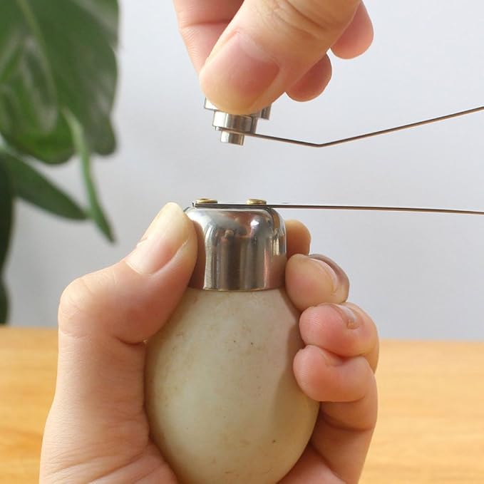 Fdit Egg Topper Cutter with Stainless Steel, Eggshell Opener for Soft or Hard Boiled Eggs, Large Size, Dishwasher Safe
