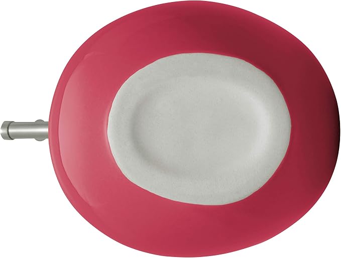 Rachael Ray Solid Glaze Ceramics EVOO Olive Oil Bottle Dispenser with Spout - 24 Ounce, Red,(Pack of 4)