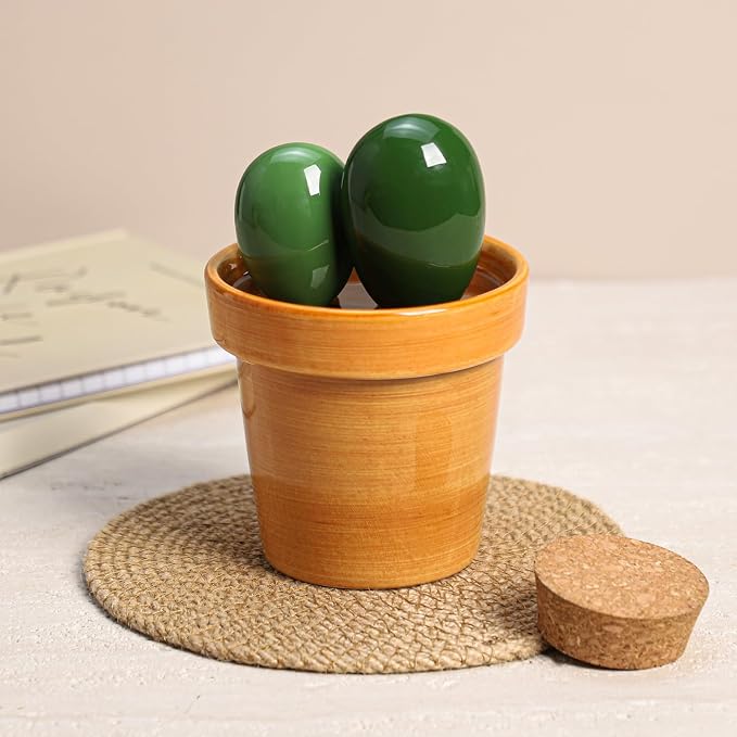 Sizikato 4pcs Porcelain Measuring Spoons with Base, Cute Cactus Shape