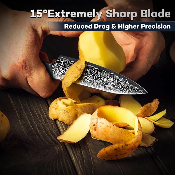 DRAGON RIOT Japansec Paring Knife 5 inch, VG-10 Steel Fruit Knives, Japanese Peeling Knife with Ergonomic Wood Handle