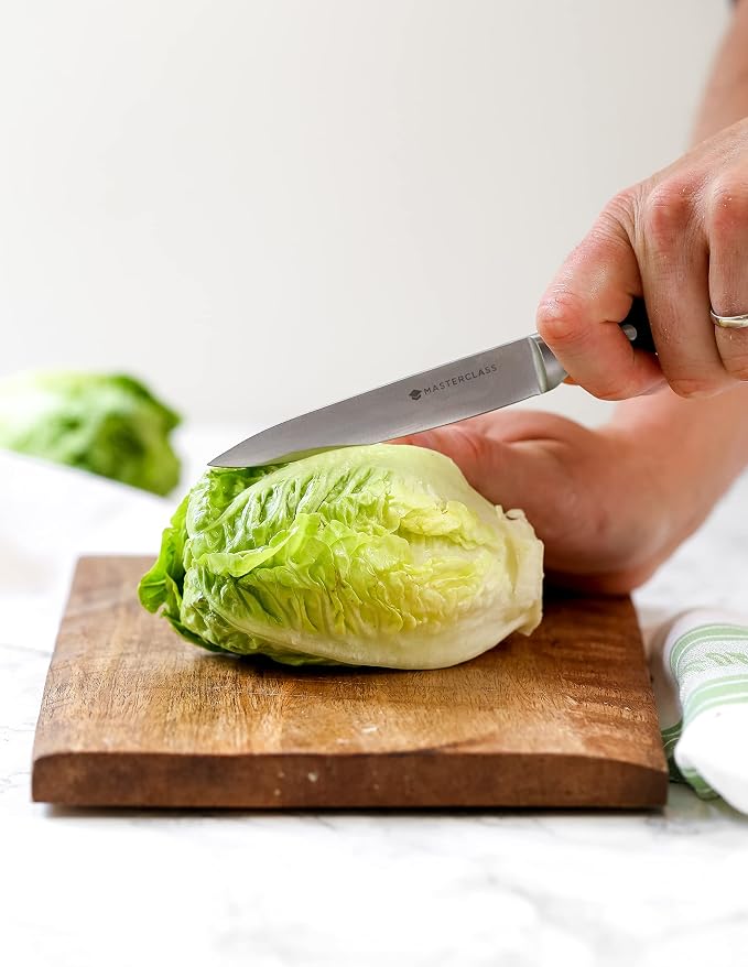 MasterClass All Purpose Small Kitchen Knife with EdgeKeeper Knife Sharpener Sheath, Stainless Steel, 11 cm