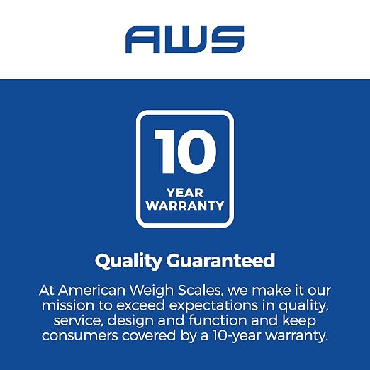 American Weigh Scales Blade Series Digital Precision Pocket Weight Scale, Gray, 650 X 0.1G (BL-650-GRY) (Silver, 1KG)