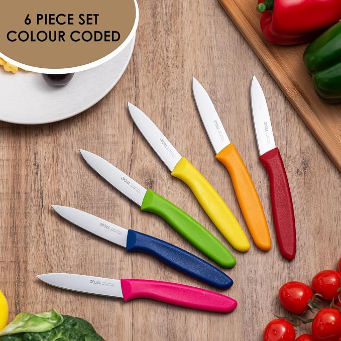 Paring Knife Fruit Knife Set (6 Pieces), Ultra Sharp Stainless Steel Vegetable and Fruit Knife with PP Plastic Ergonomic Handle for Cutting Fruits and Vegetables- Colorful