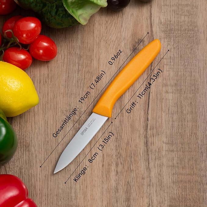 Paring Knife Fruit Knife Set (6 Pieces), Ultra Sharp Stainless Steel Vegetable and Fruit Knife with PP Plastic Ergonomic Handle for Cutting Fruits and Vegetables- Colorful