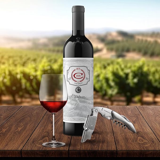 [2-Pack] CARBON-E6 Premium-Grade Waiter's Corkscrew Wine Bottle Opener (The ultimate tool for bartenders, servers, sommeliers, connoisseurs, enologists, and all wine enthusiasts)